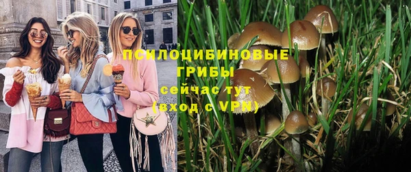 ALPHA PVP Киренск