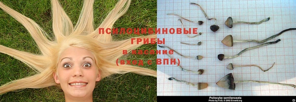ALPHA PVP Киренск