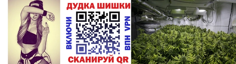 Бошки Шишки VHQ  Пушкино 